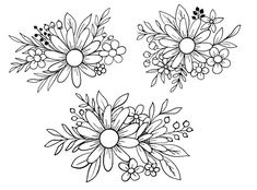 three different flowers with leaves and berries on the top one is drawn in black ink