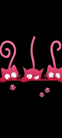 three pink cats with their heads turned to the side