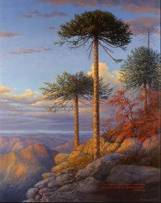 a painting of two trees on top of a mountain