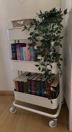 a book shelf with books and a plant on it