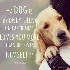 a dog is holding its owner's hand with a quote above it that reads, a dog is the only thing on earth that loves you more than he loves himself