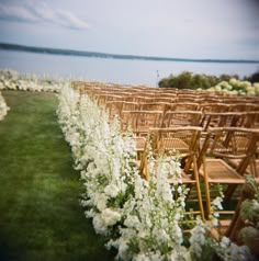 rows of wooden chairs lined up next to each other in front of flowers and water