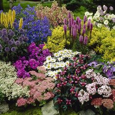 many different types of flowers in a garden