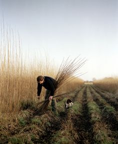 a man and his dog are in the middle of a field with tall grass on either side of them