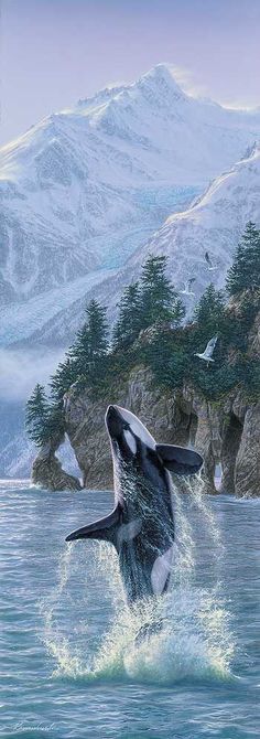 an orca jumping out of the water with mountains in the background