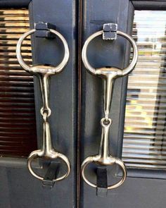 two metal handles on the front door of a building