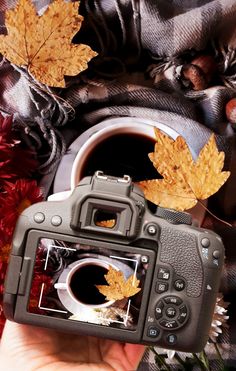 a person holding up a camera with leaves on the ground next to it and an autumn scene in the background