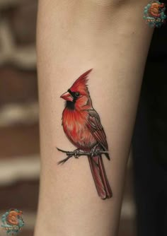 a small red bird on the ankle