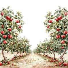 an apple orchard with many apples on the trees and one in the foreground, watercolor