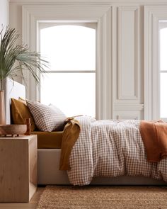 a bed sitting next to two windows with pillows on top of it and a potted plant in the corner