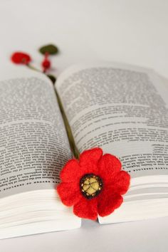 a red flower sitting on top of an open book