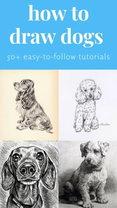 how to draw dogs with easy step by step instructions for beginners and advanced artists