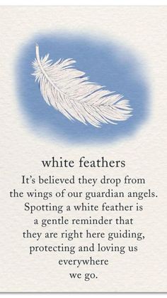 a white feather on a blue background with the words, white feathers it's beloved they drop from the wings of our guardian angels