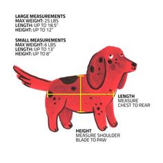 a red dog is shown with measurements for it's body