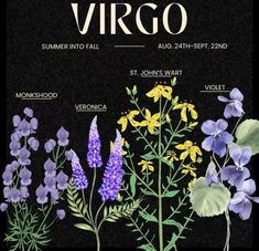 a poster with different types of wildflowers on it's side and the words virgo written in english