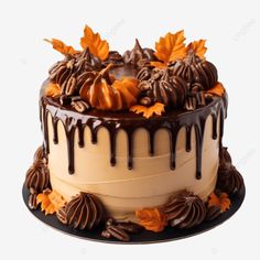 chocolate pumpkin cake with caramel buttercream for thanksgiving chocolate cake cake food cake png Thanksgiving Cake Chocolate, Thanksgiving Chocolate Cake Decorating, Fall Cake Easy, Chocolate Thanksgiving Cake, Thanksgiving Chocolate Cake, Simple Thanksgiving Cake Designs, Thanksgiving Cake Decorations, Fall Cakes Ideas, November Birthday Cake