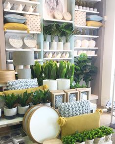 a room filled with lots of different types of pillows and plants on shelves next to each other