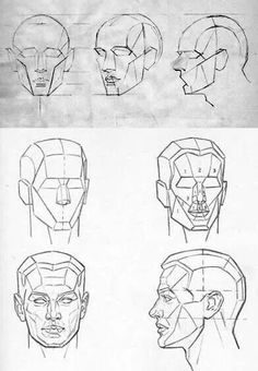 the head and shoulders are shown in three different angles, including one that has been drawn