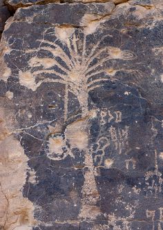 an ancient rock painting depicting a palm tree on the side of a cliff with writing below it