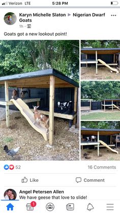 an instagramted photo of a dog house with dogs in it