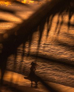 a person walking on the beach at sunset