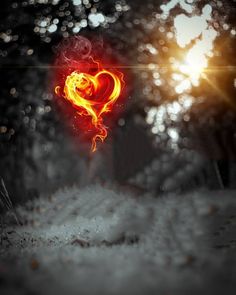 a red heart shaped object in the middle of a forest with trees and lights behind it