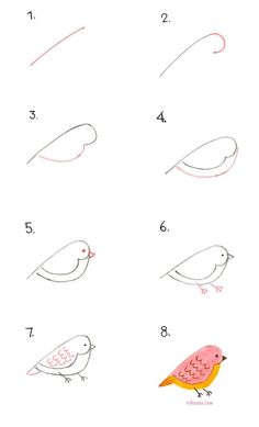 how to draw birds step by step for kids and beginners in easy steps with pictures