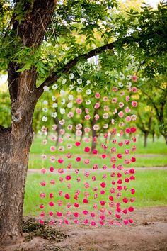 the top 5 best wedding decor for trees