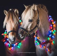 two horses wearing christmas lights on their heads