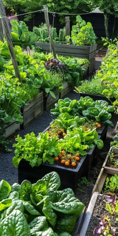 a garden filled with lots of different types of plants and vegetables on top of each other