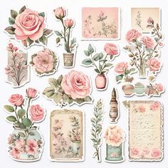 an assortment of pink flowers and cards on a white background