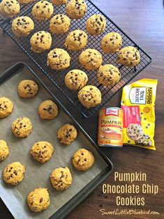 pumpkin chocolate chip cookies cooling on a baking sheet and next to a cookie tray full of them