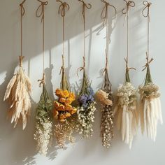 several dried flowers hanging from hooks on a wall