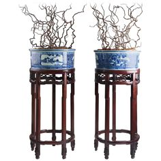 two blue and white planters sitting on top of wooden stands with branches growing out of them