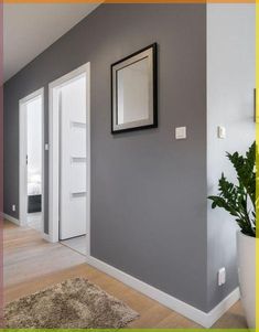 an empty room with a potted plant and pictures on the wall next to it