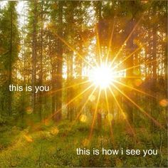 the sun shines brightly through the trees and grass in this photo, which reads, this is you this is how i see you