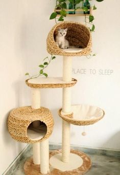 a cat is sitting on top of a scratching tower with plants growing out of it