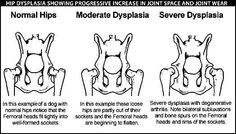 an image of different types of hip flexors and how to use them in order to help