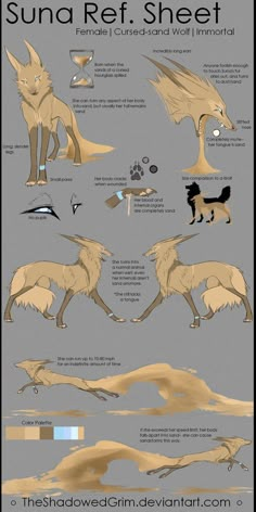 an info sheet showing different types of animals