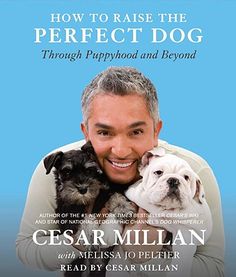 cesar millan's book on how to raise the perfect dog