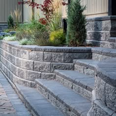 the steps are made of stone and have plants growing out of them on each side