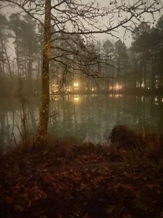 a foggy lake with trees and lights in the background at night, surrounded by leaves on the ground