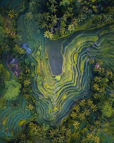 rice terraces greenery beautiful Kelsey Johnson, Rice Terraces, Aesthetic Picture, Ubud Bali, Epic Journey, On The Road Again, Birds Eye View, Beautiful Places To Travel, Aerial Photography