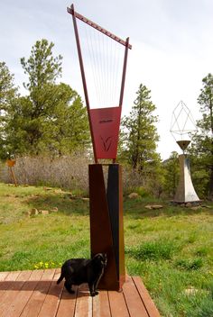 a black dog standing next to a large metal instrument on top of a wooden platform