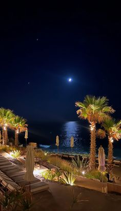 the beach is lit up at night with palm trees