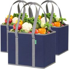 two blue totes with handles full of vegetables