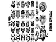 an image of many different owls in black and white