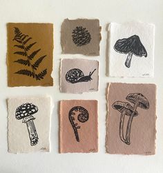 four different types of mushrooms are on the wall