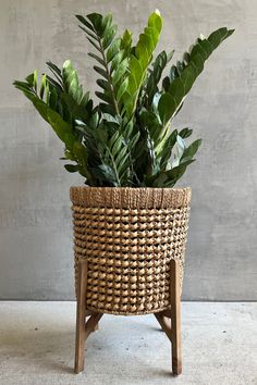 a plant in a wicker basket on a wooden stand