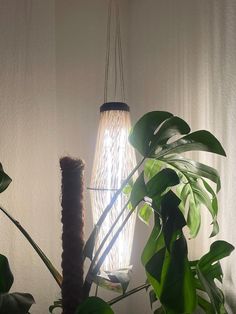 a light that is on in the corner of a room next to some plants and a potted plant